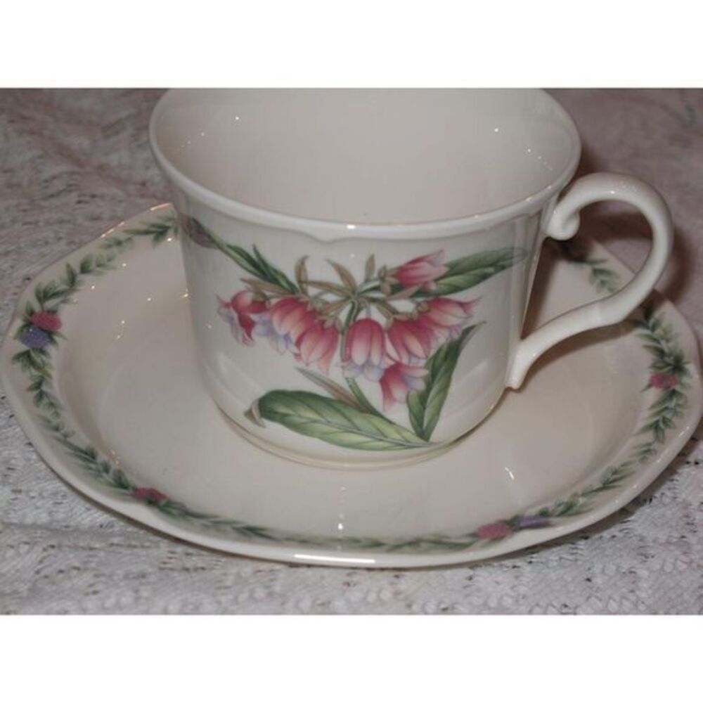 Noritake Conservatory Teacup Cup & Saucer Set (s)